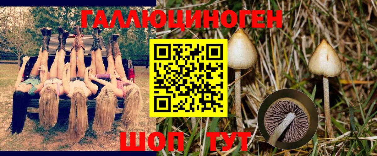 Котовск  Галлюциногенные грибы GOLDEN TEACHER  Вход с VPN  Псилоцибиновые грибы мицелий 